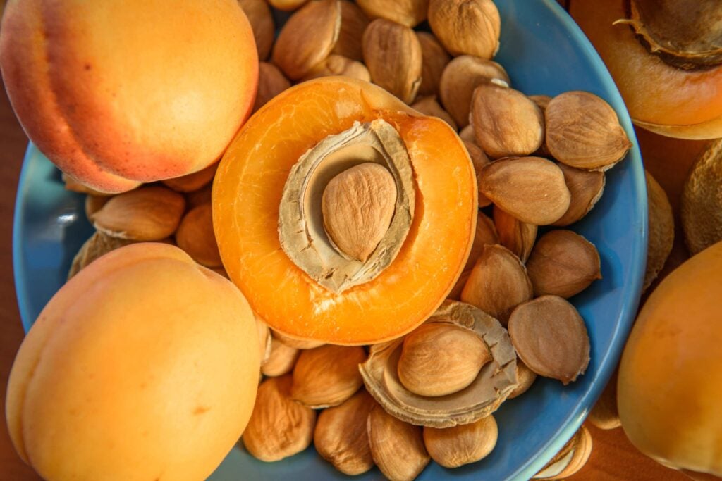 Apricots in a bowl of apricot seeds