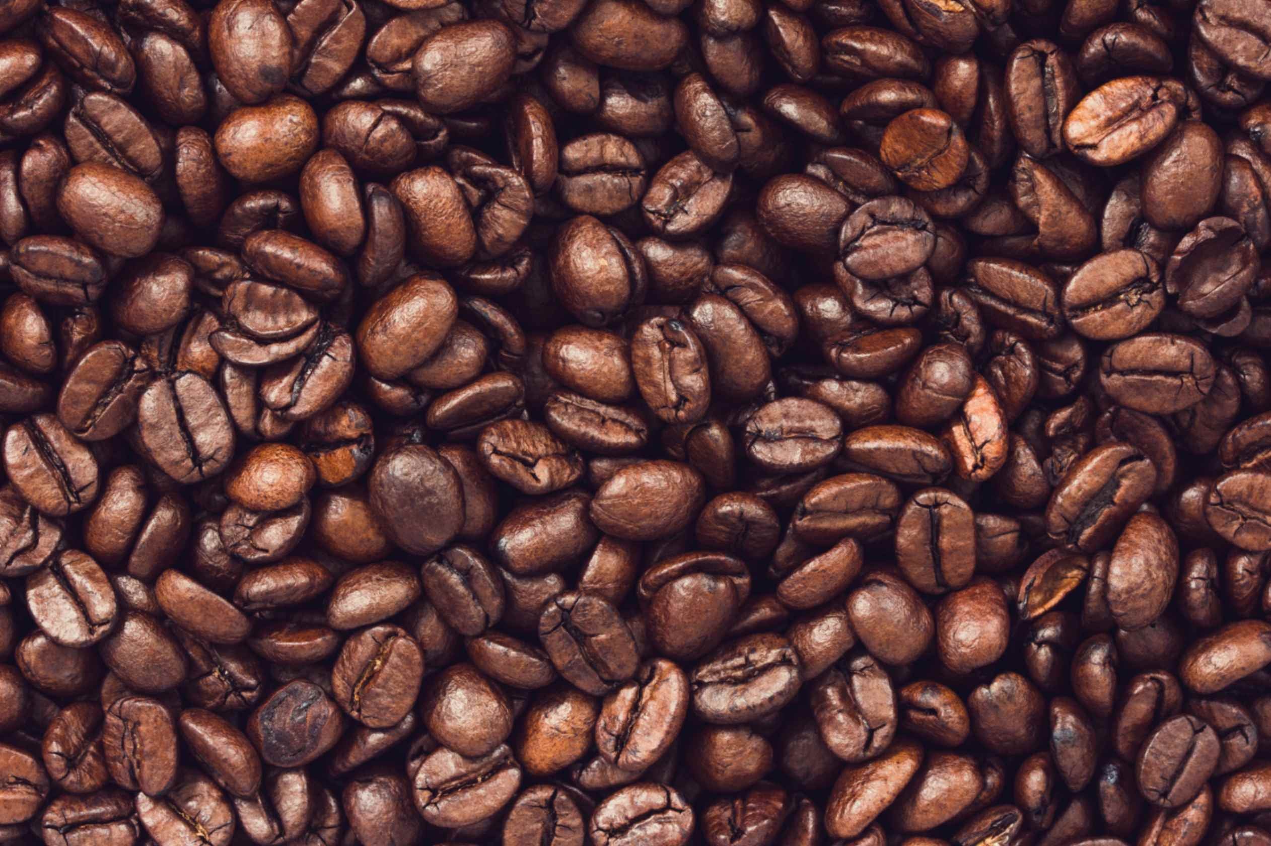 Up-close photo of coffee beans