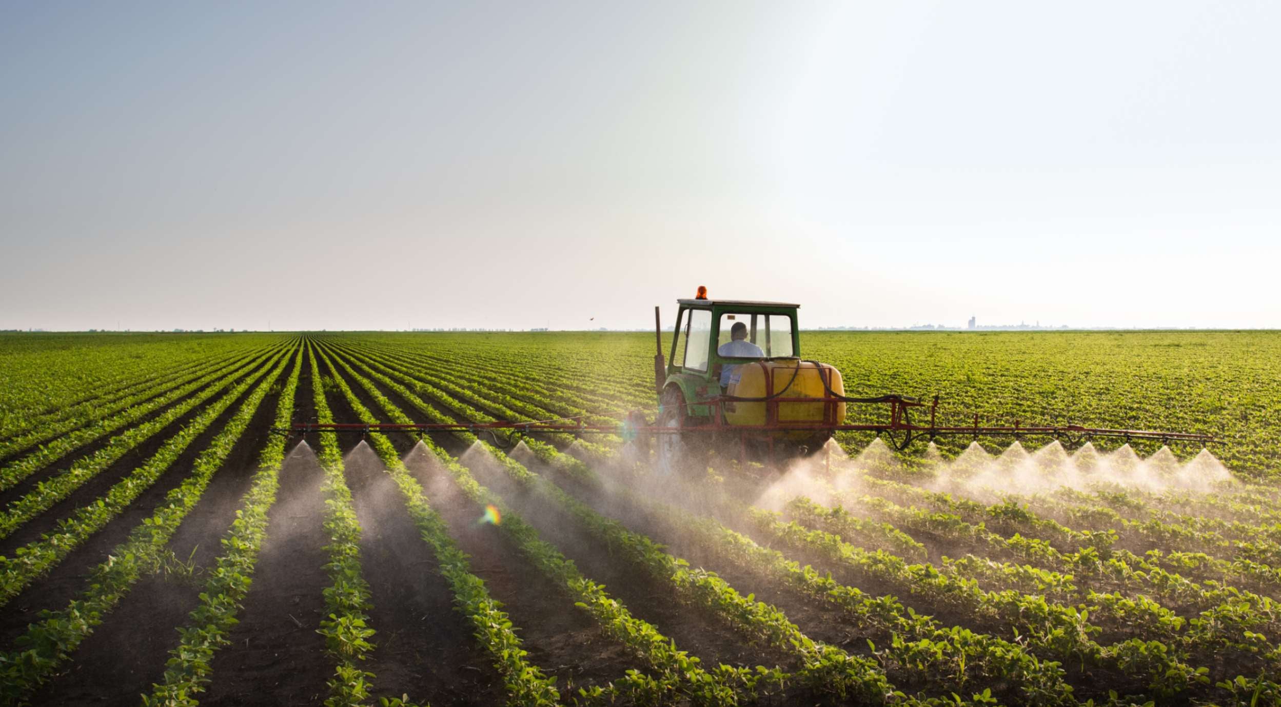 Farm field getting sprayed
