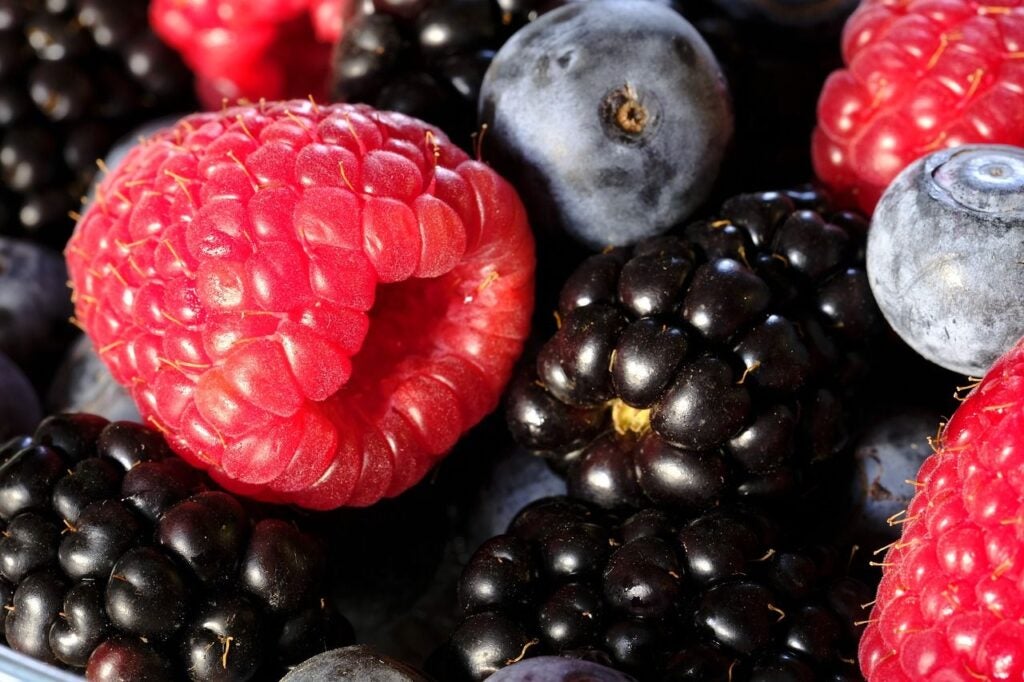 Up-close photo of berries